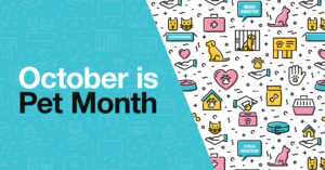 October is Pet Month