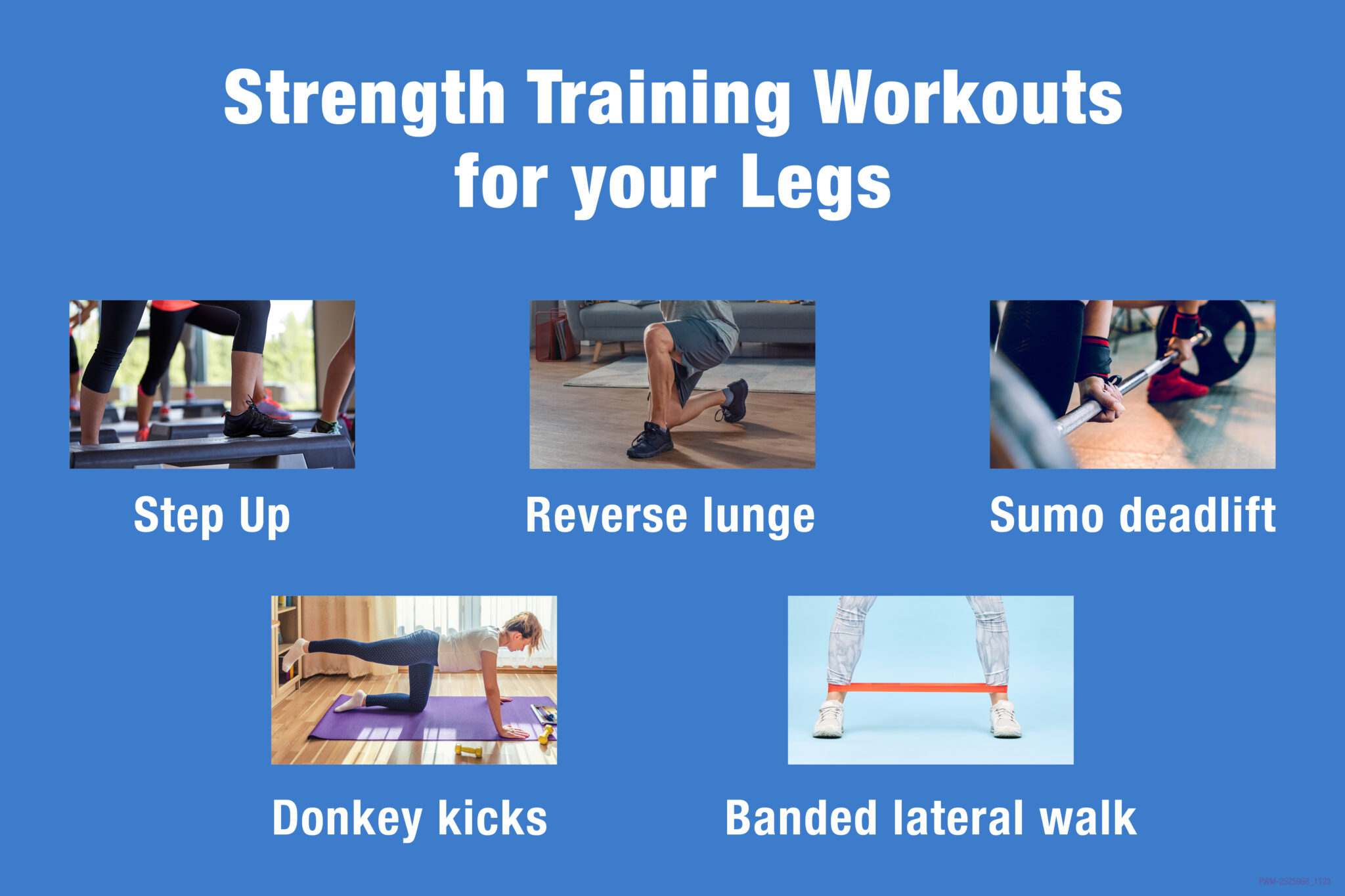 Resistance training exercises for legs online